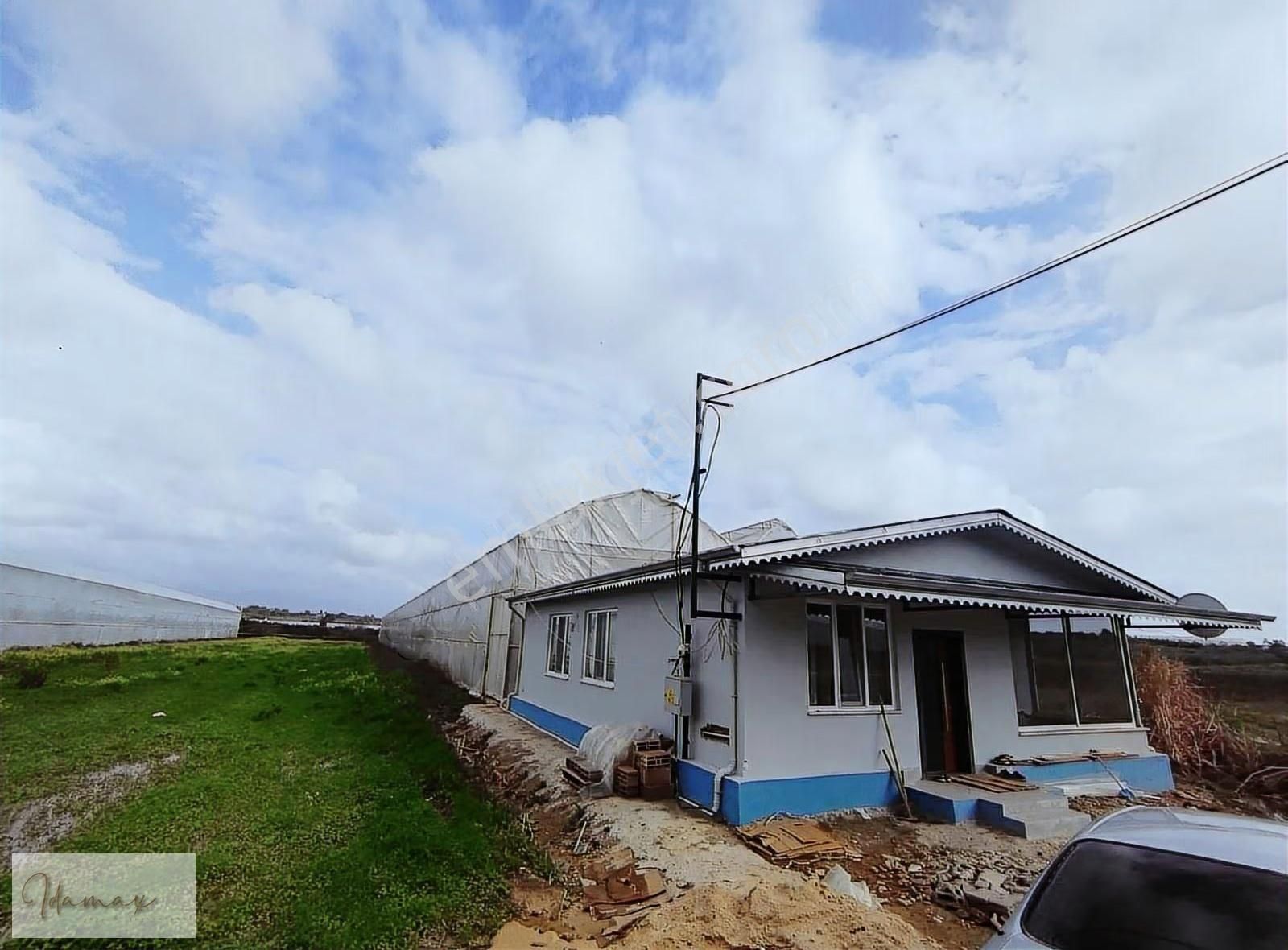 Muz Serası + 3+1 Sıfır Ev , Evin İşin Yan Yana - Görsel 11