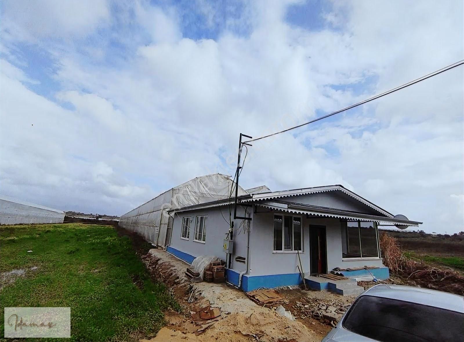 Muz Serası + 3+1 Sıfır Ev , Evin İşin Yan Yana - Görsel 8