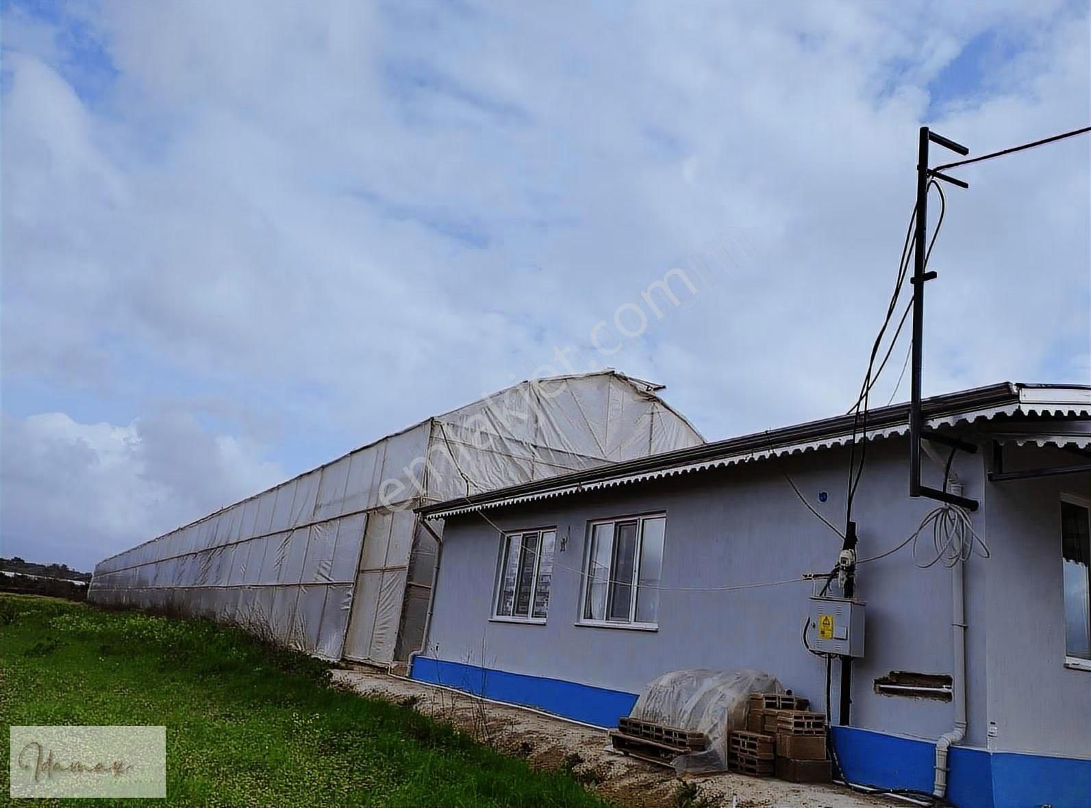 Muz Serası + 3+1 Sıfır Ev , Evin İşin Yan Yana - Görsel 7