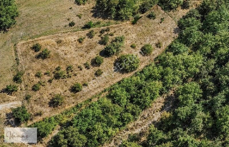 İdamax'tan Manavgat Sağrin'de Tek Tapu Satılık Tarla