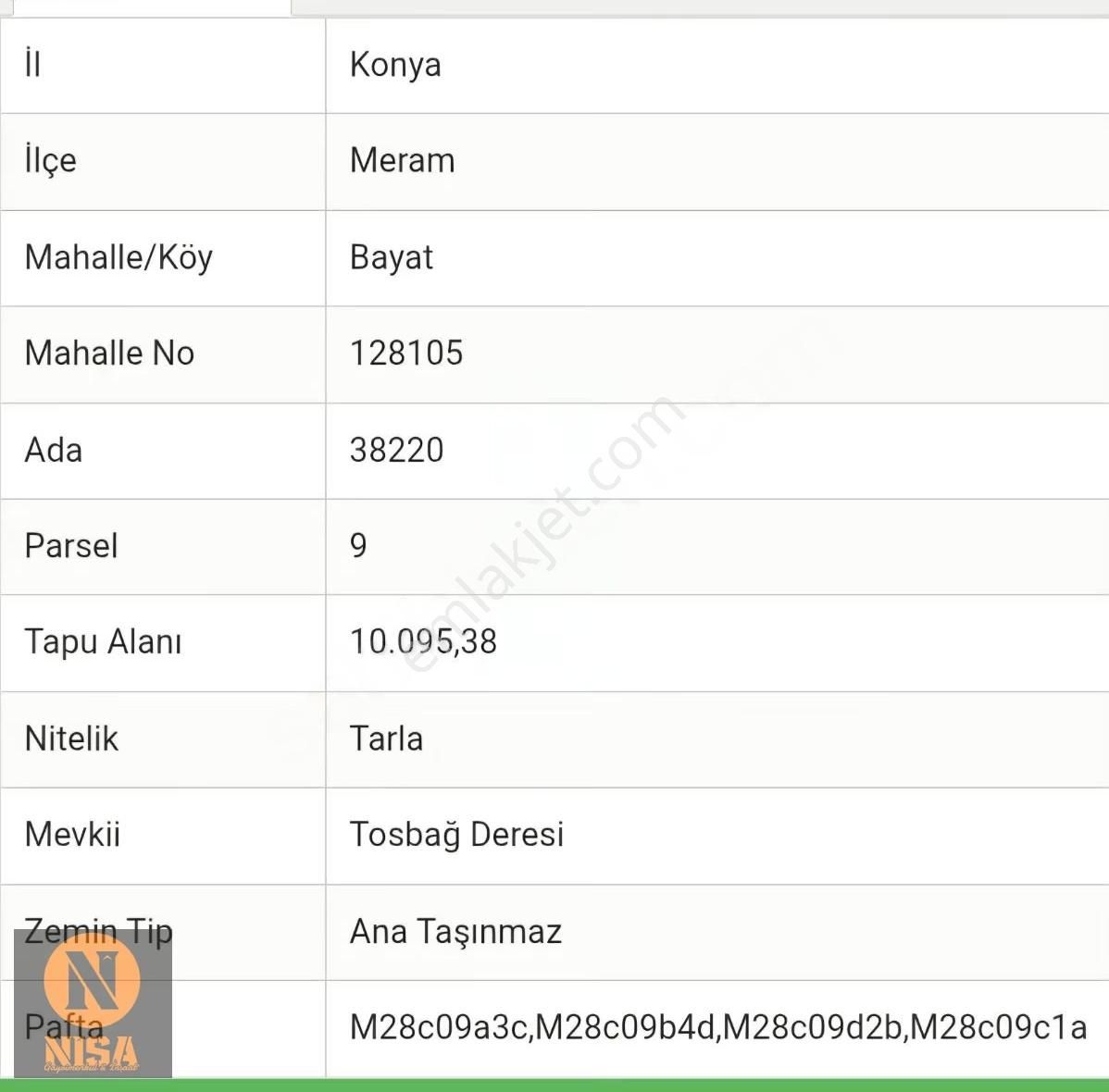 Nisa'dan Meram Bayat Köyünde Yatırımlık Tarla - Görsel 3