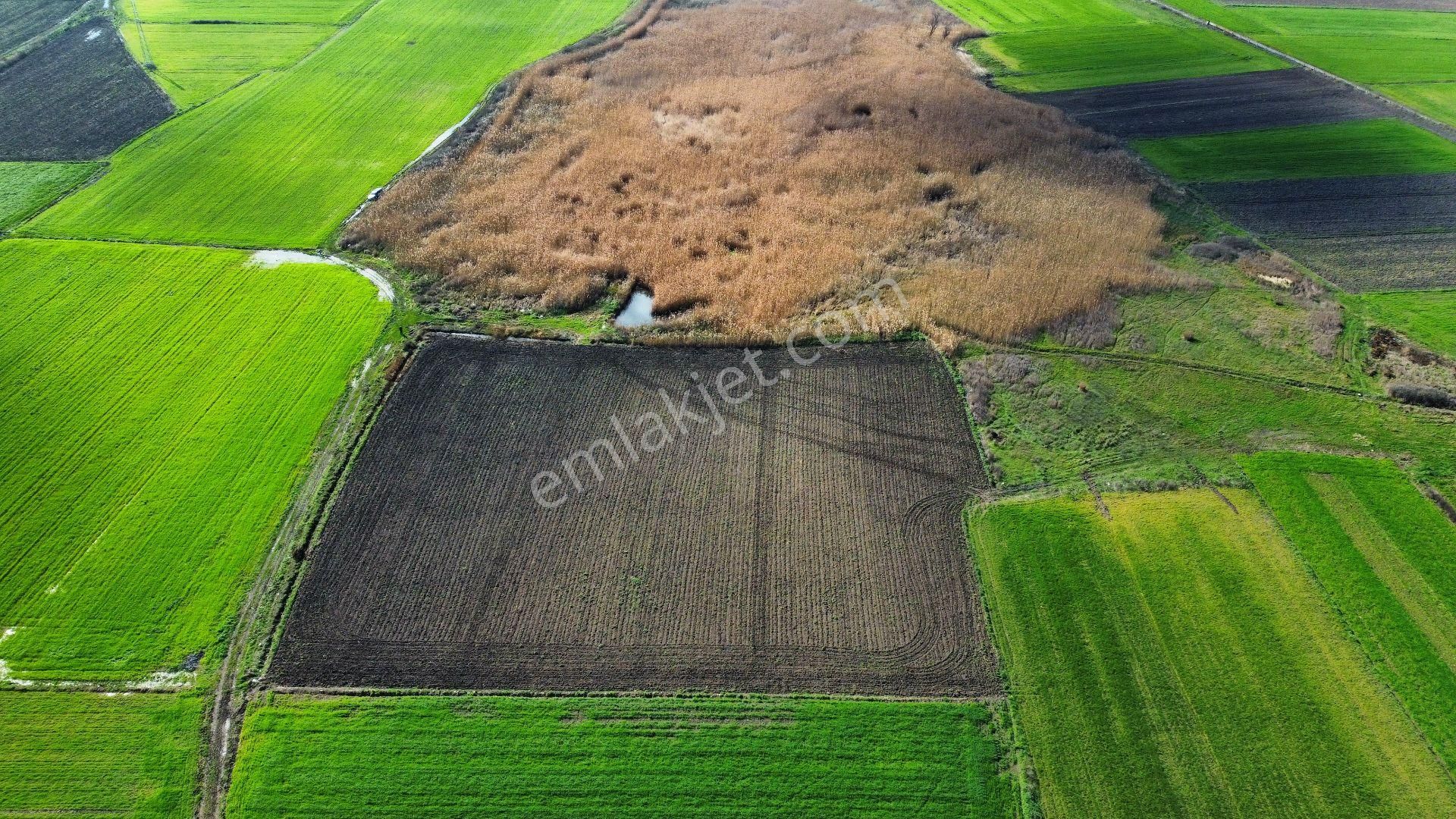 Bursa Karacabey Seyran'da Satılık Yatırım Değeri Yüksek Arazi - Görsel 12