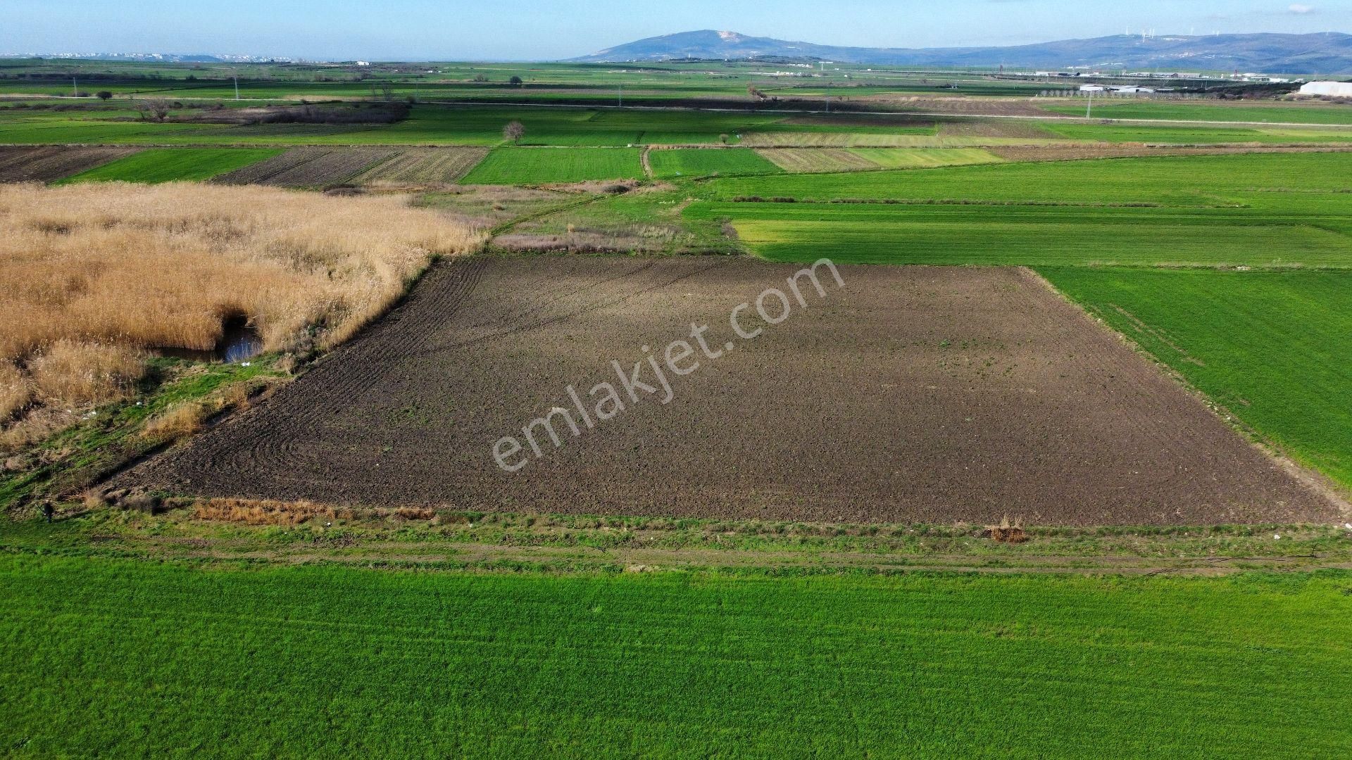 Bursa Karacabey Seyran'da Satılık Yatırım Değeri Yüksek Arazi - Görsel 7