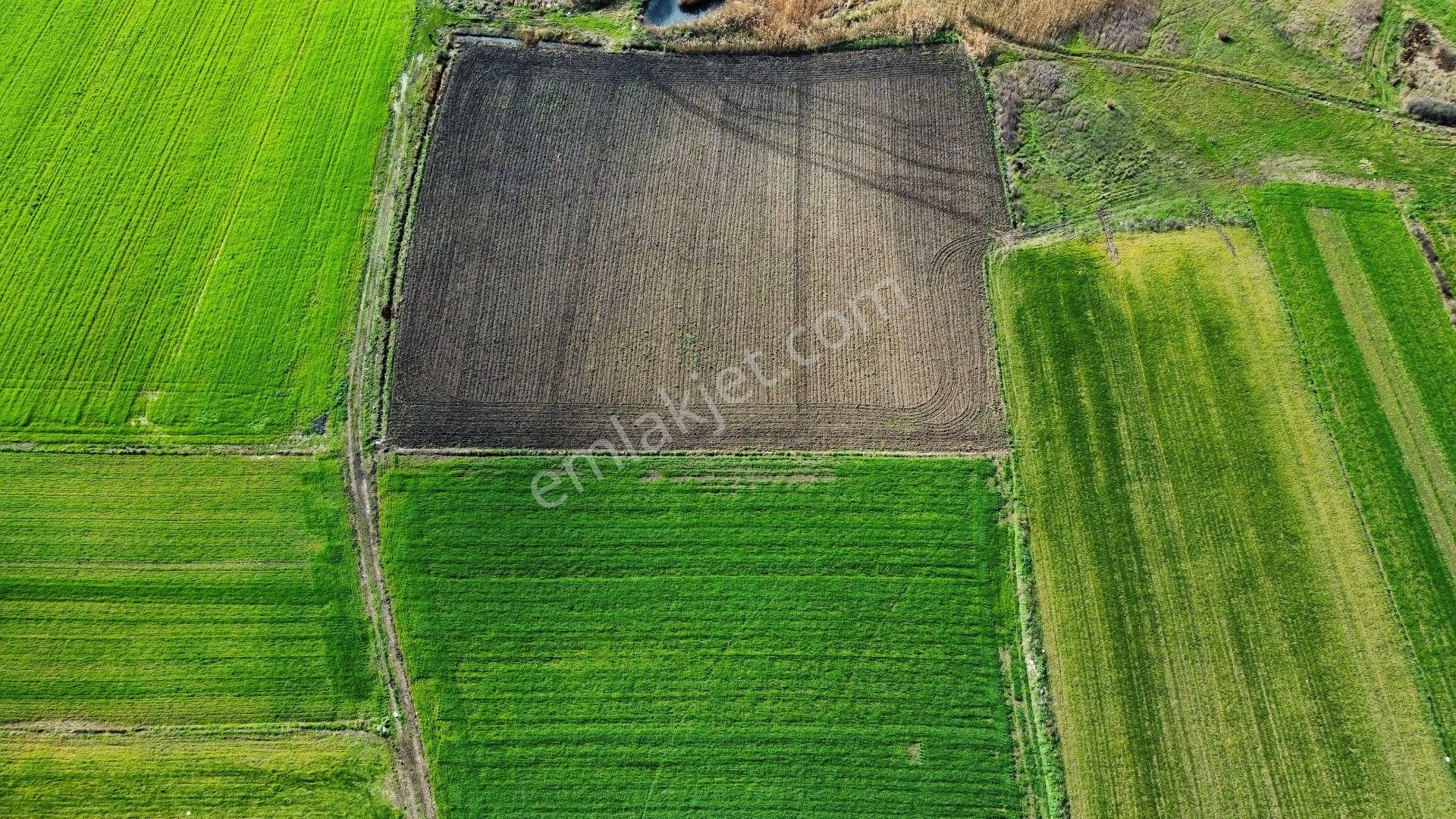 Bursa Karacabey Seyran'da Satılık Yatırım Değeri Yüksek Arazi - Görsel 21