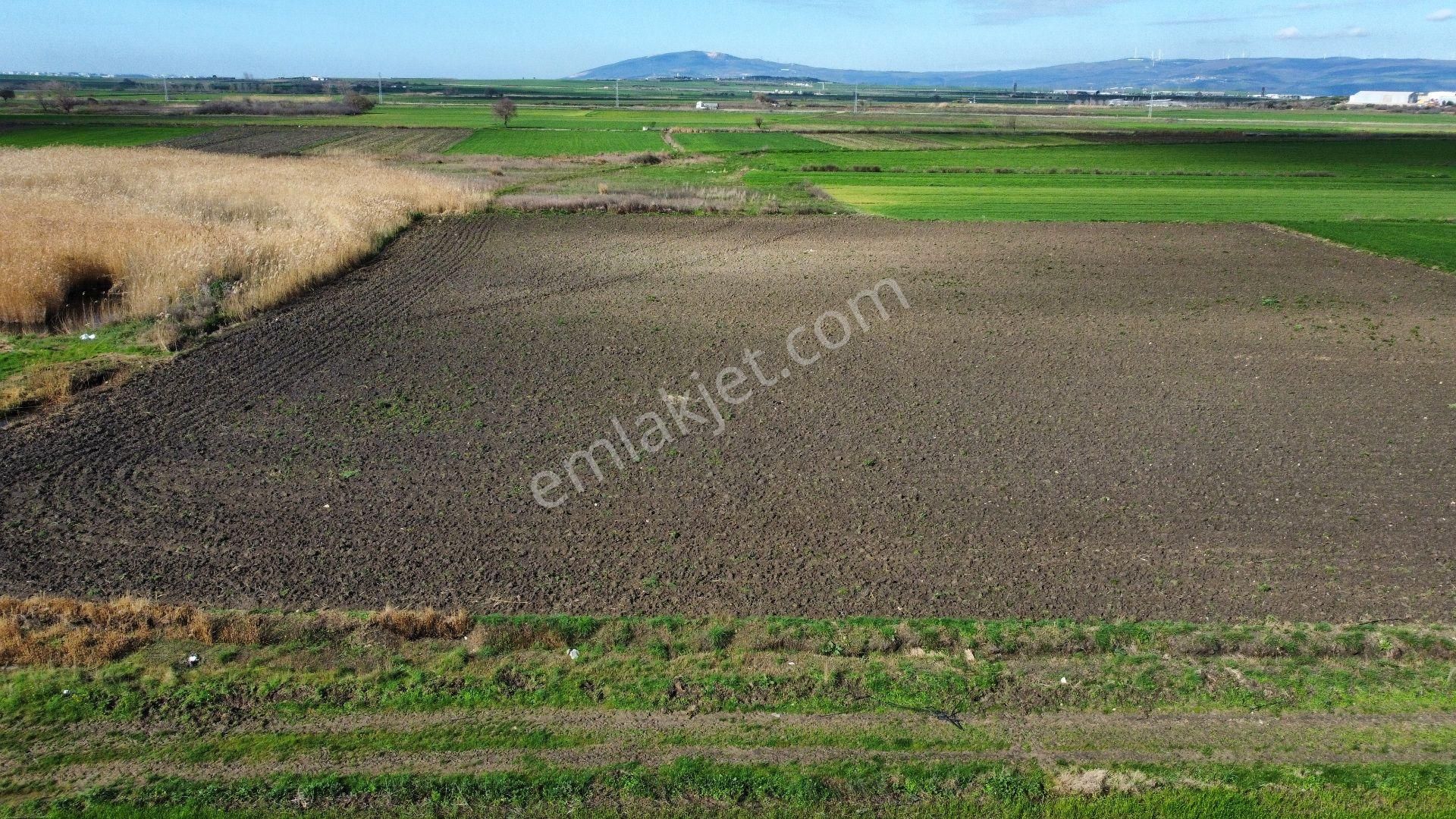 Bursa Karacabey Seyran'da Satılık Yatırım Değeri Yüksek Arazi - Görsel 4
