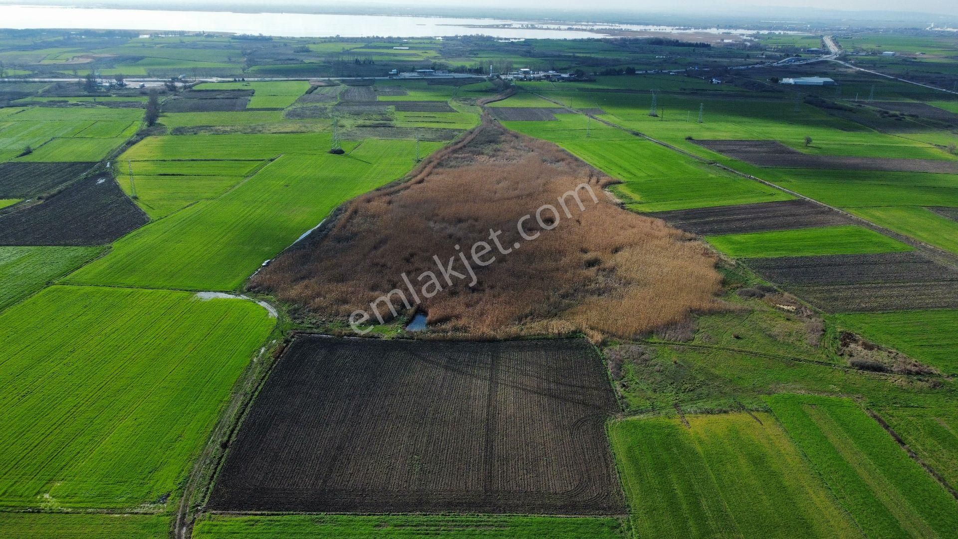 Bursa Karacabey Seyran'da Satılık Yatırım Değeri Yüksek Arazi - Görsel 13