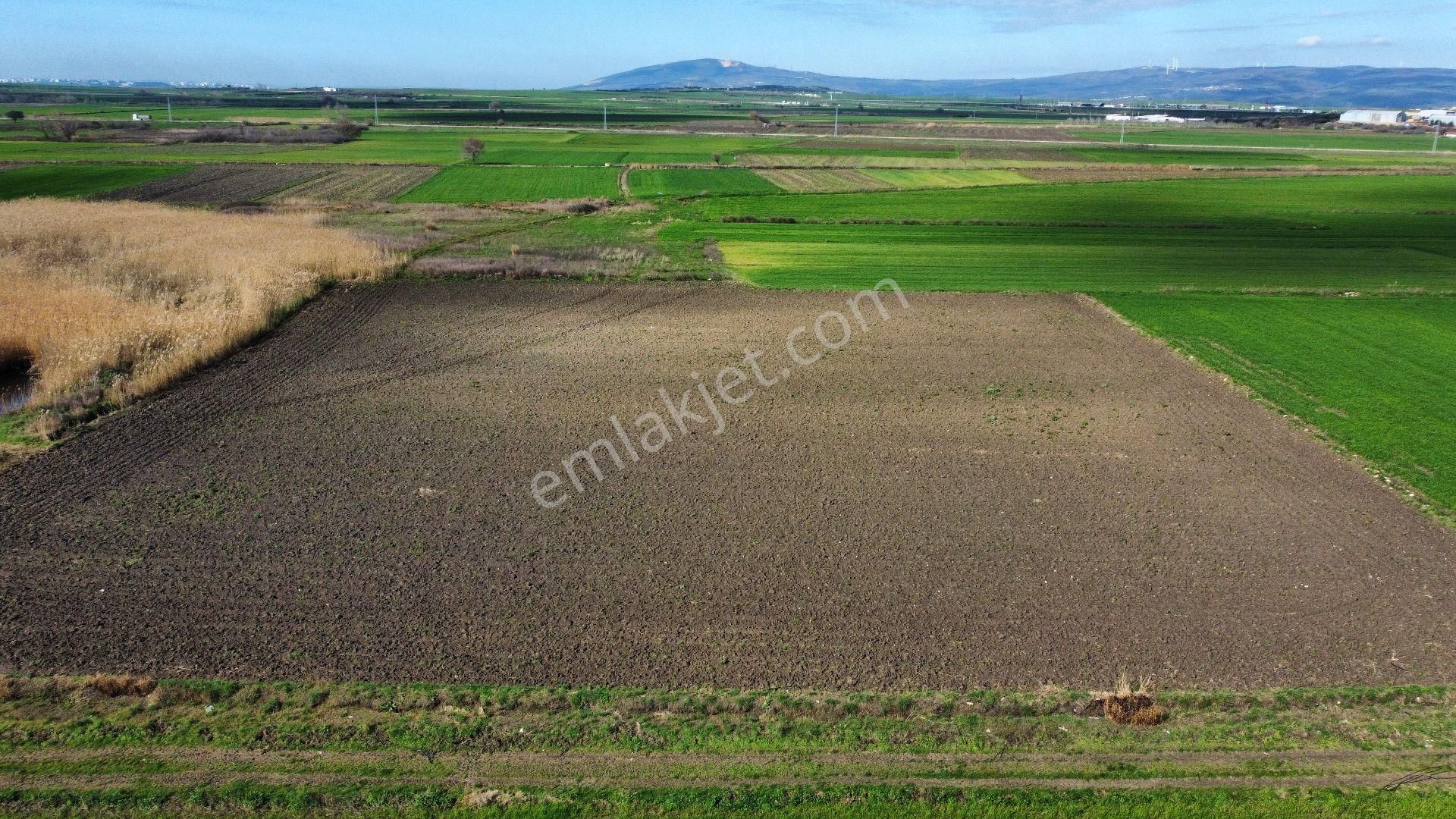 Bursa Karacabey Seyran'da Satılık Yatırım Değeri Yüksek Arazi - Görsel 5
