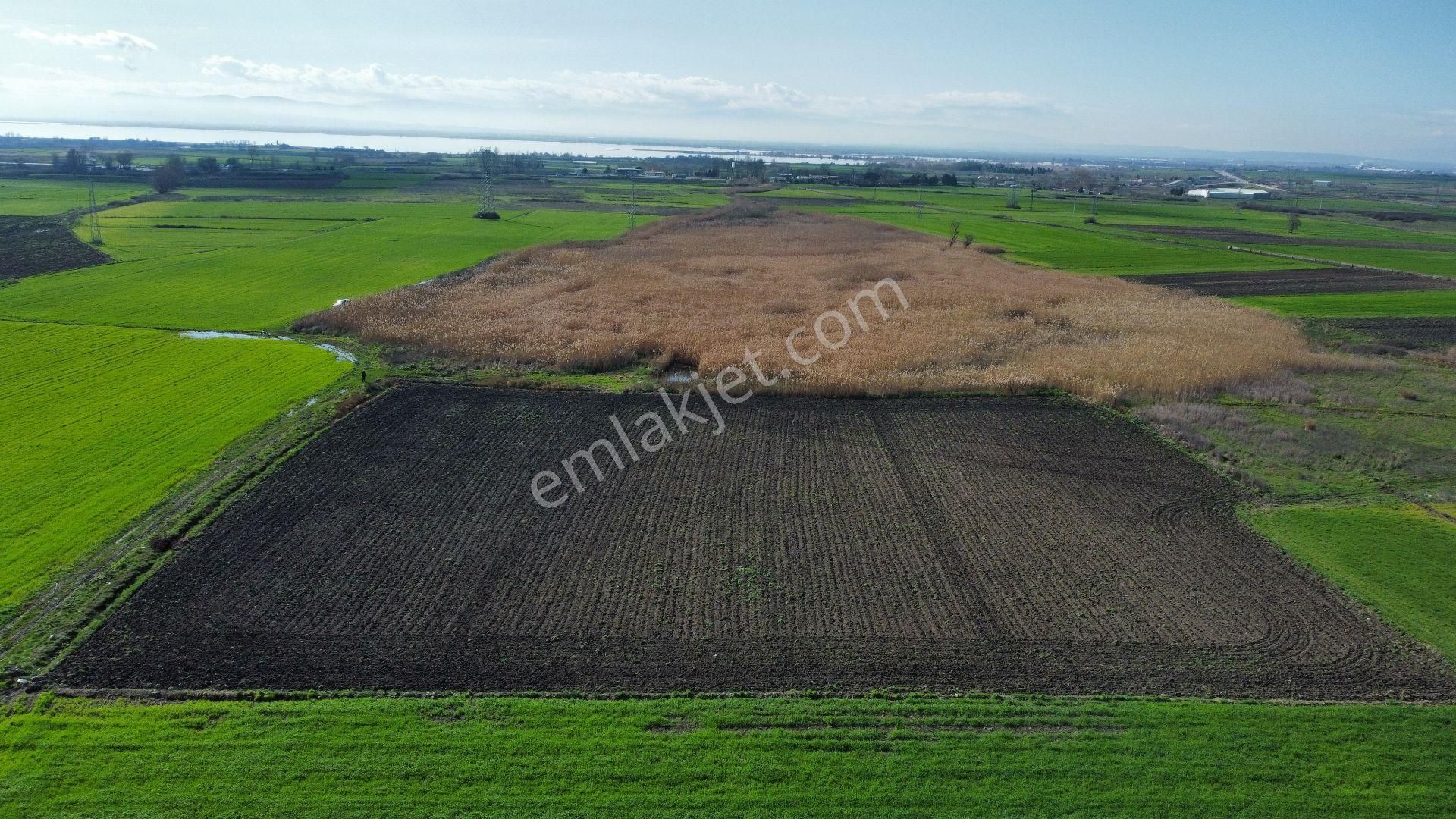 Bursa Karacabey Seyran'da Satılık Yatırım Değeri Yüksek Arazi - Görsel 8