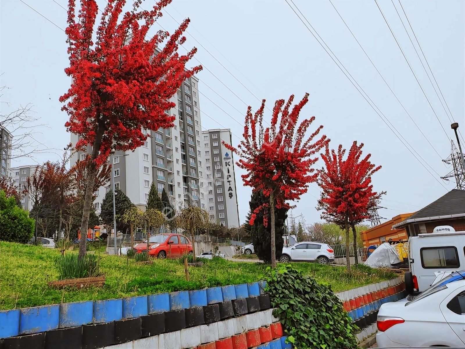 Kiptaş Kyb. Knt. Şehir Hast. Ve Okul Yakını 2+1 Kiralık Daire - Görsel 11