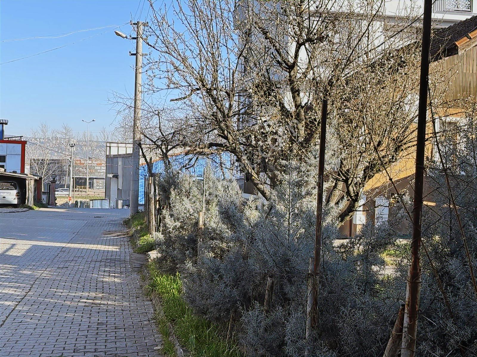 Mahmutpaşa Mah. Köşe Parsel Fırsat Arsa - Görsel 5