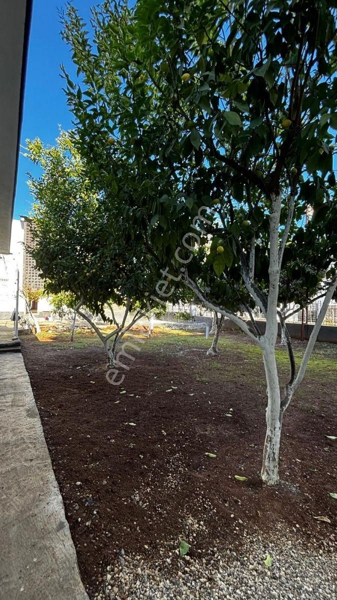 Mert Emlaktan Super Konumda 2 Katlı Mustakıl Ve Arsası Tek Tapu - Görsel 8