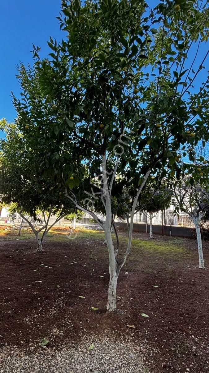 Mert Emlaktan Super Konumda 2 Katlı Mustakıl Ve Arsası Tek Tapu - Görsel 11