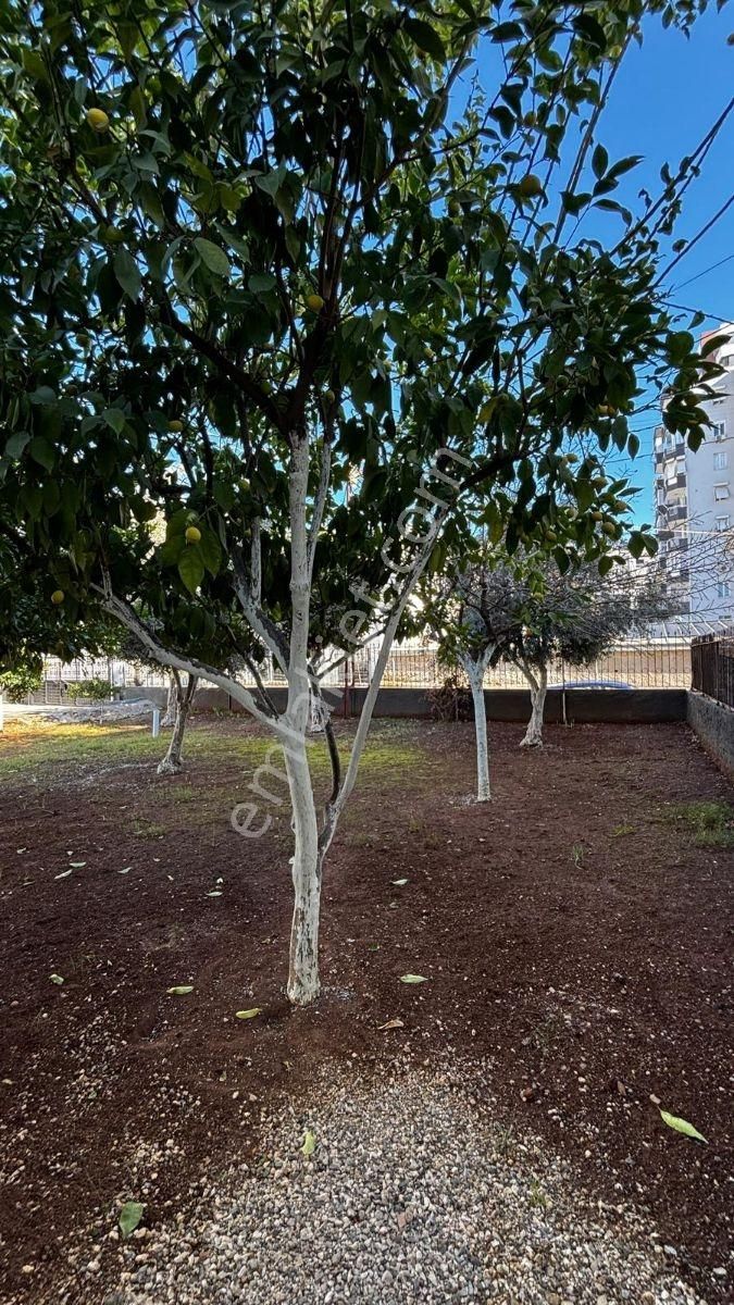 Mert Emlaktan Super Konumda 2 Katlı Mustakıl Ve Arsası Tek Tapu - Görsel 7