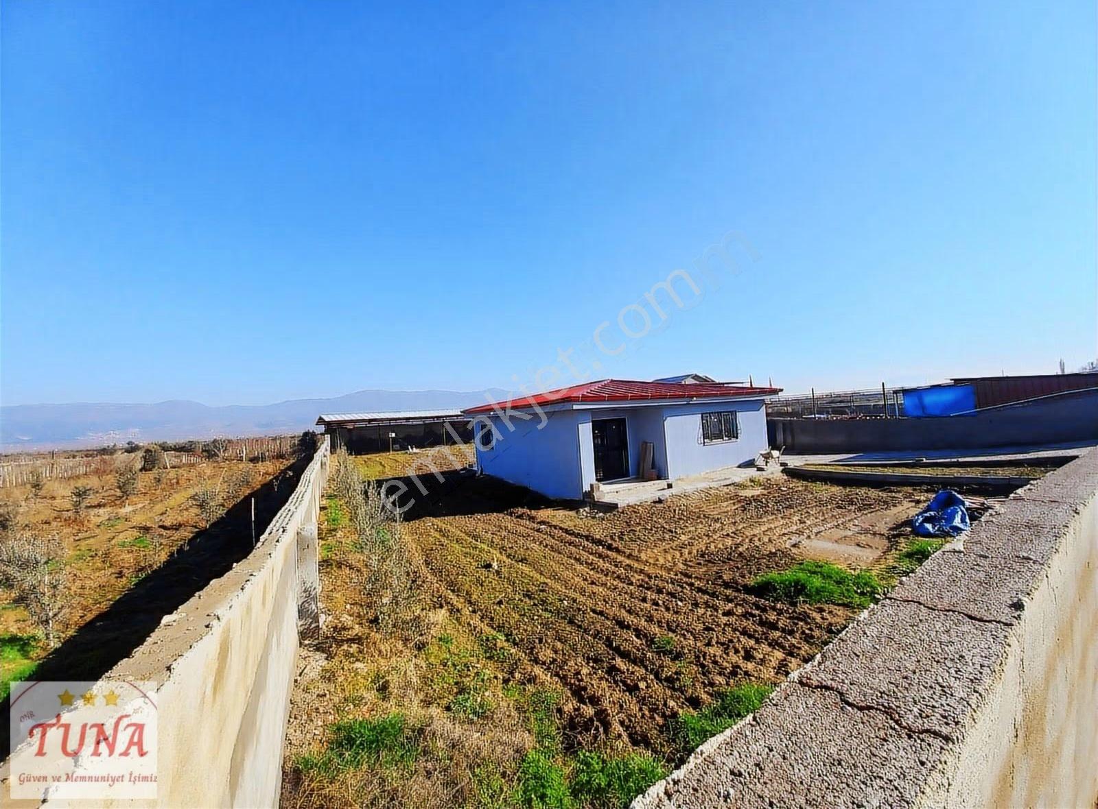 Satılık Çiftlik Ve Evi (akkeçili Mahallesinde) - Görsel 10