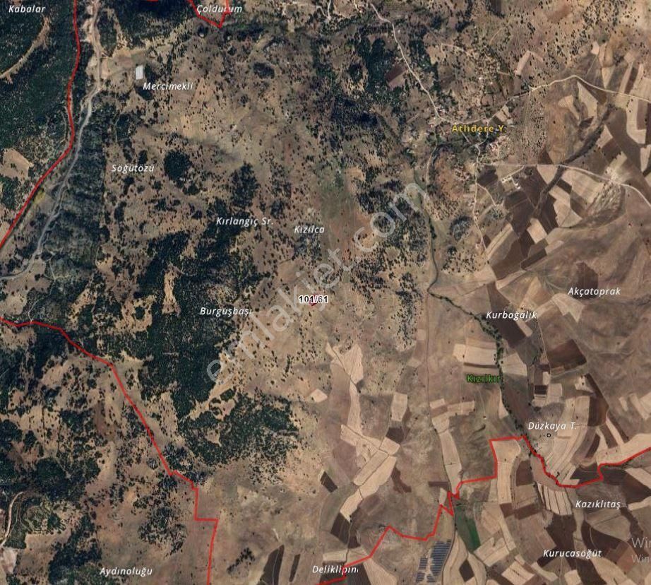 Goldhouse Dan Satılık Seydikemer Atlıdere De 2065 M2 Tarla - Görsel 4