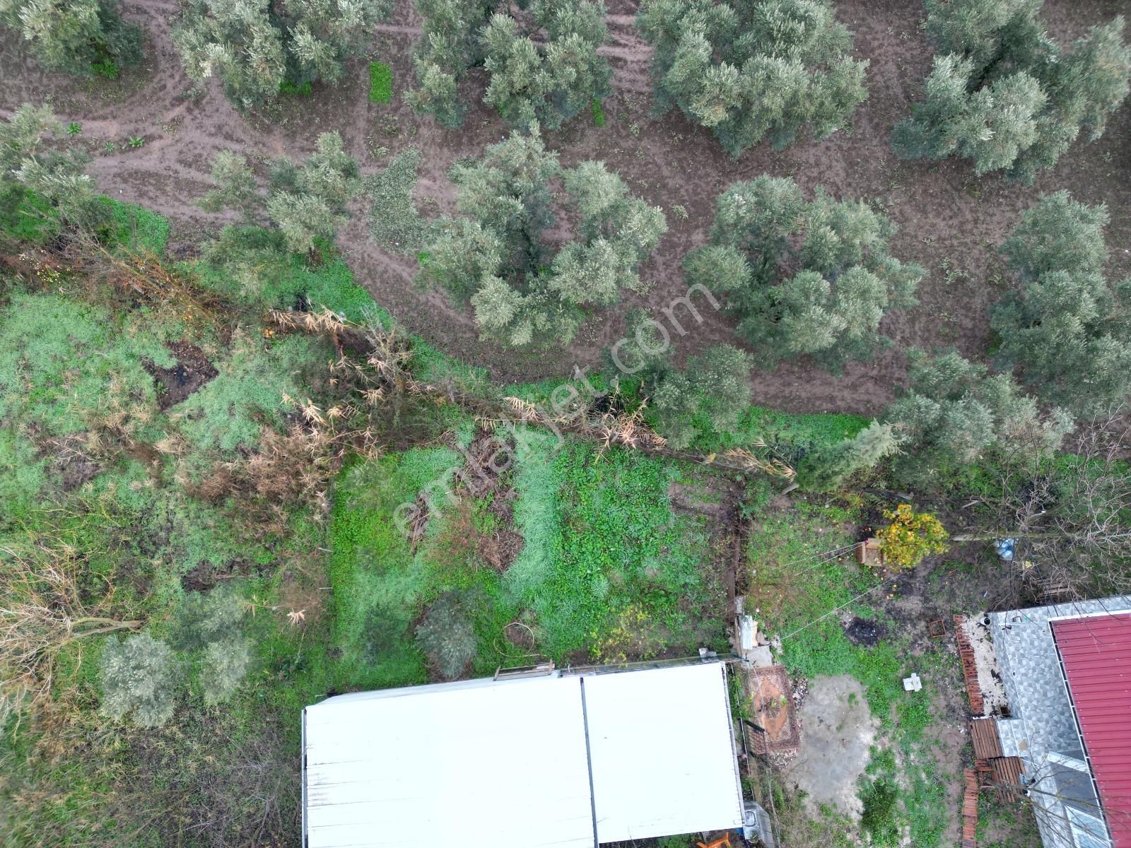 Kristal Marin'den Gemlik'te Satılık Tarla - Görsel 9