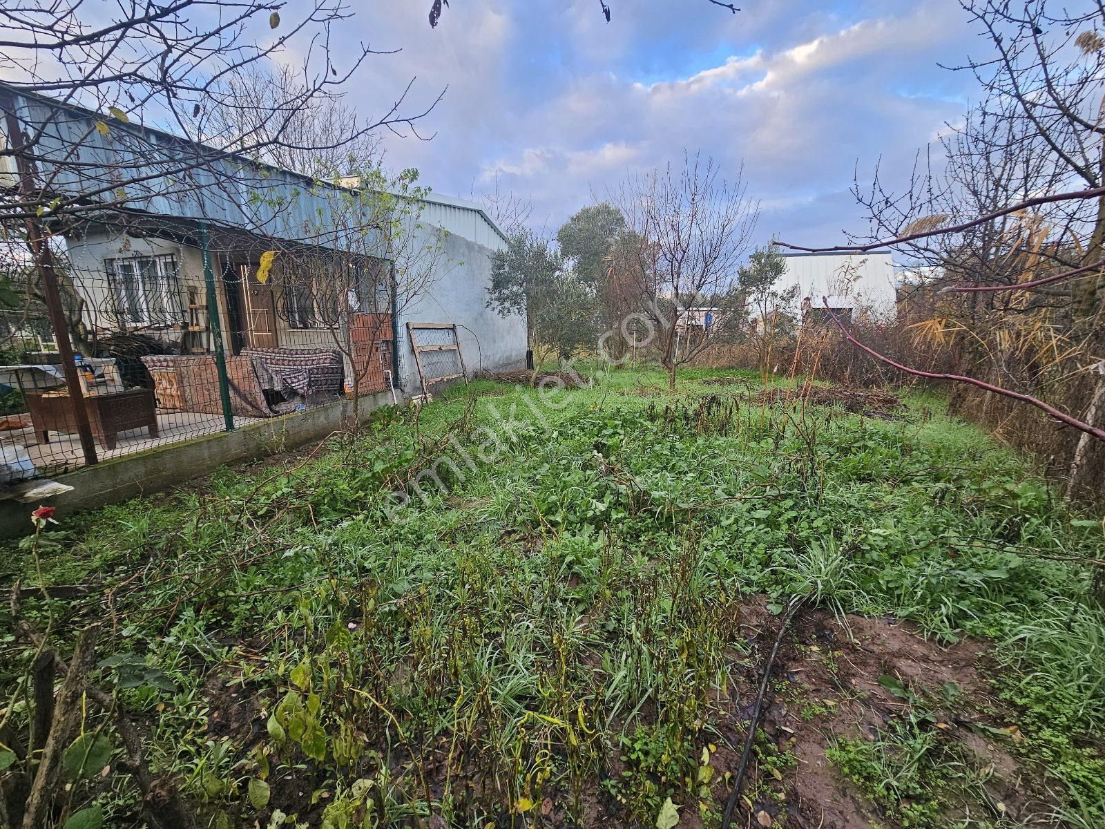 Kristal Marin'den Gemlik'te Satılık Tarla - Görsel 7