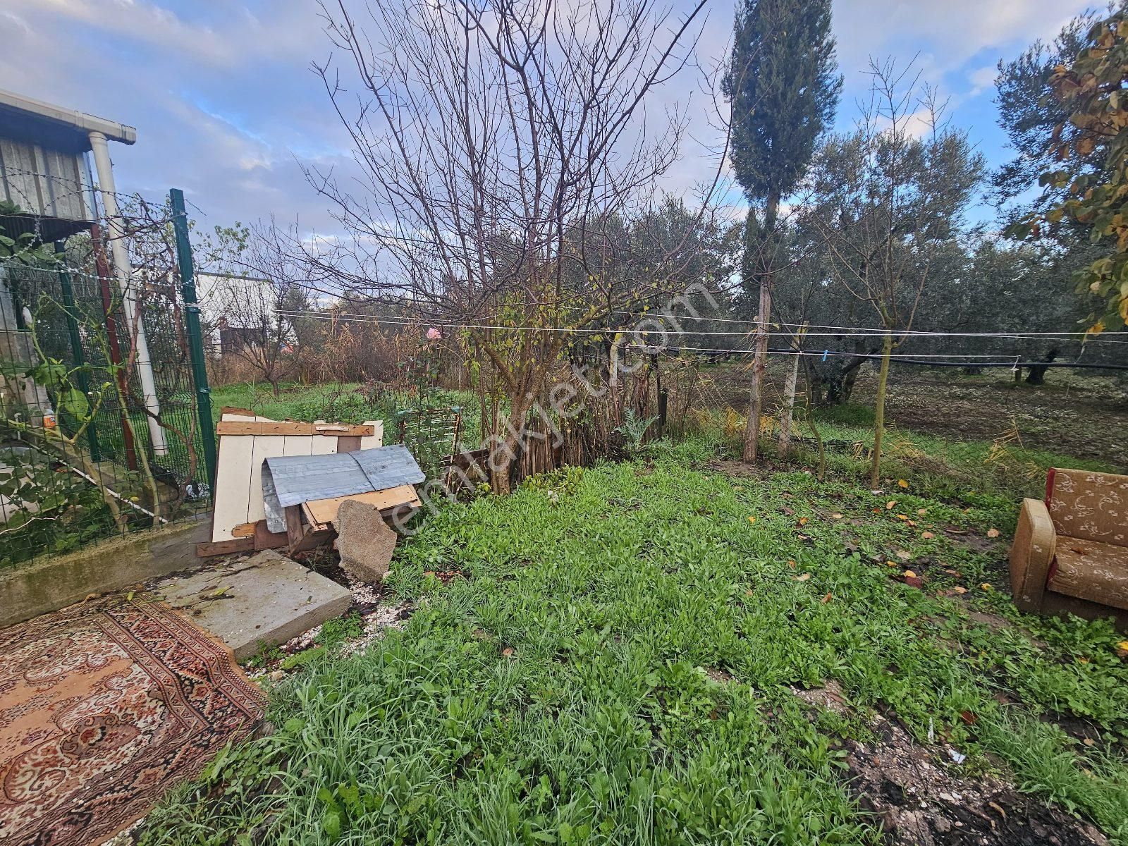 Kristal Marin'den Gemlik'te Satılık Tarla - Görsel 3