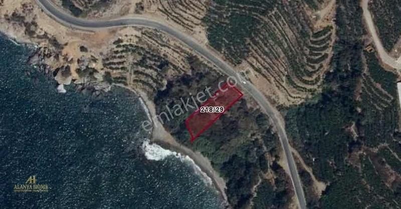 Alanya Uğrak Aydap Dalgaya Sıfır Yatırımlık Tarla 1.213,48 M²