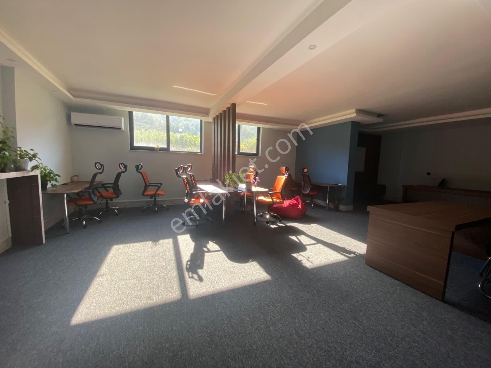 Familypark Sitesinde Full Eşyalı 1+1 Köşe Daire - Görsel 3