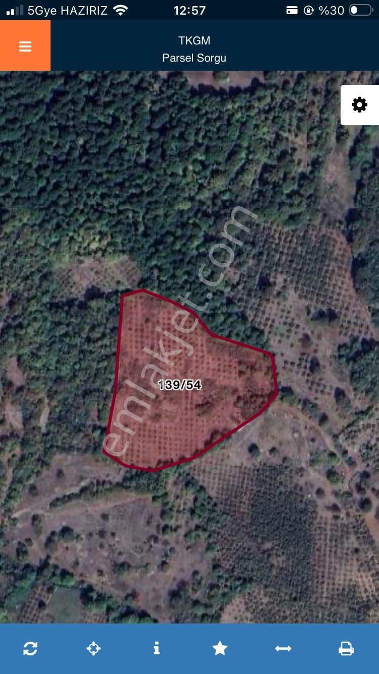 Kandıra Eğercili Fındık Tarlası 16.300m2 - Görsel 12