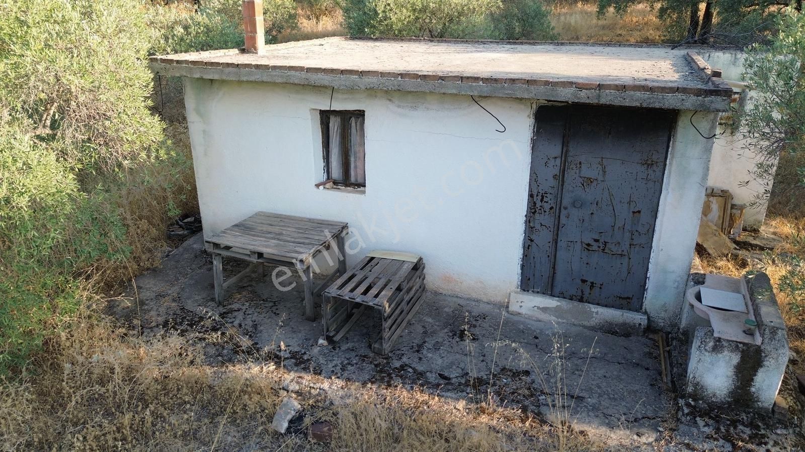Didim Akyeni Köy Balova Mevki.satılık 25 Dönüm.imarara Açık. - Görsel 6