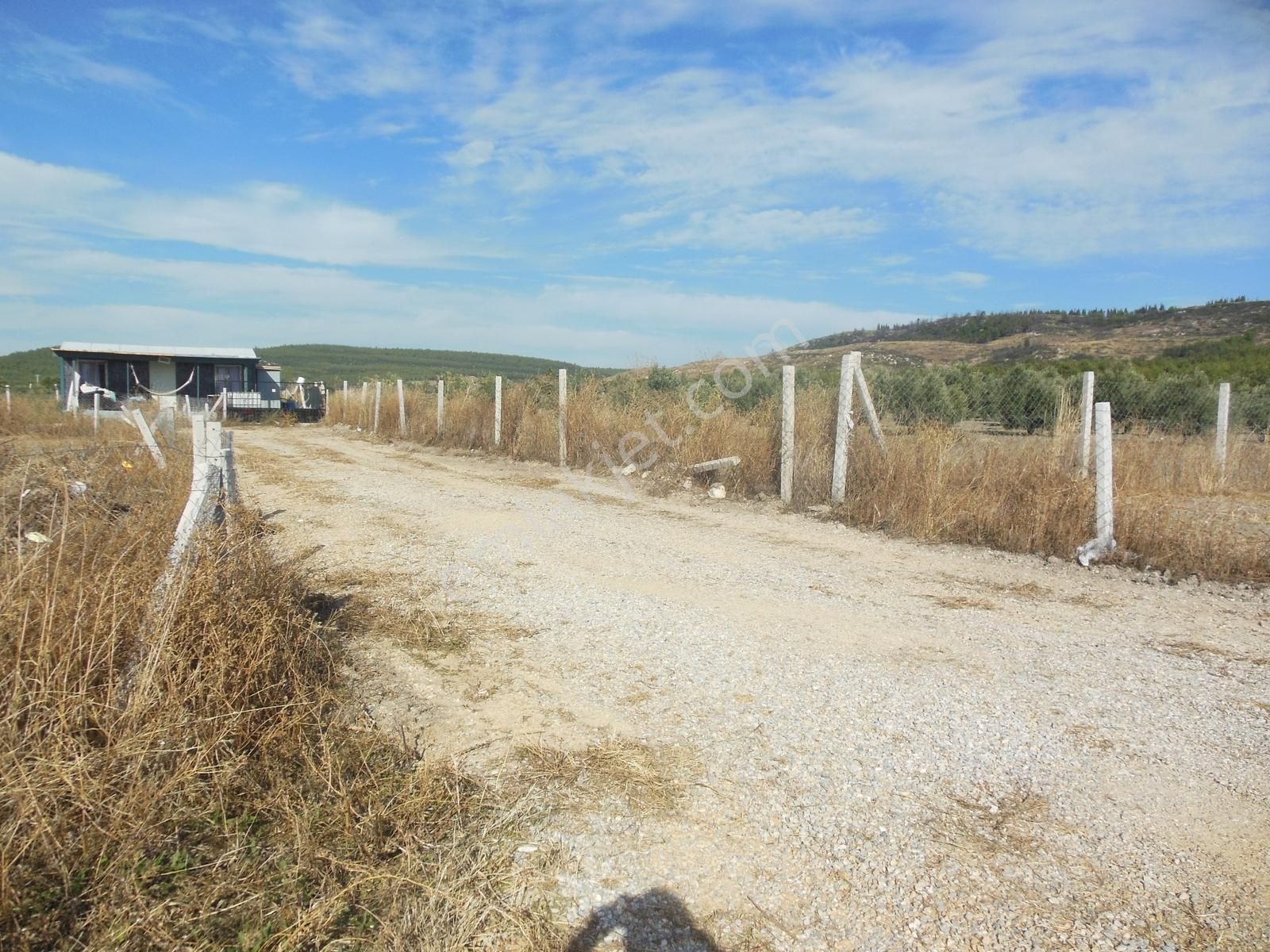 Bal Gayrimenkul- Acilll Tekelide Elektrik Su Hazır 270 M2 Bahçe - Görsel 9