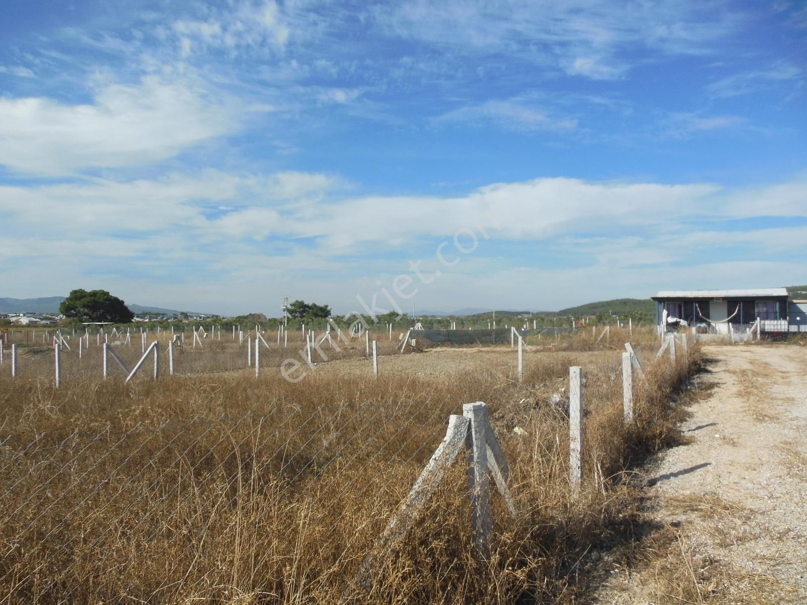Bal Gayrimenkul- Acilll Tekelide Elektrik Su Hazır 270 M2 Bahçe - Görsel 7