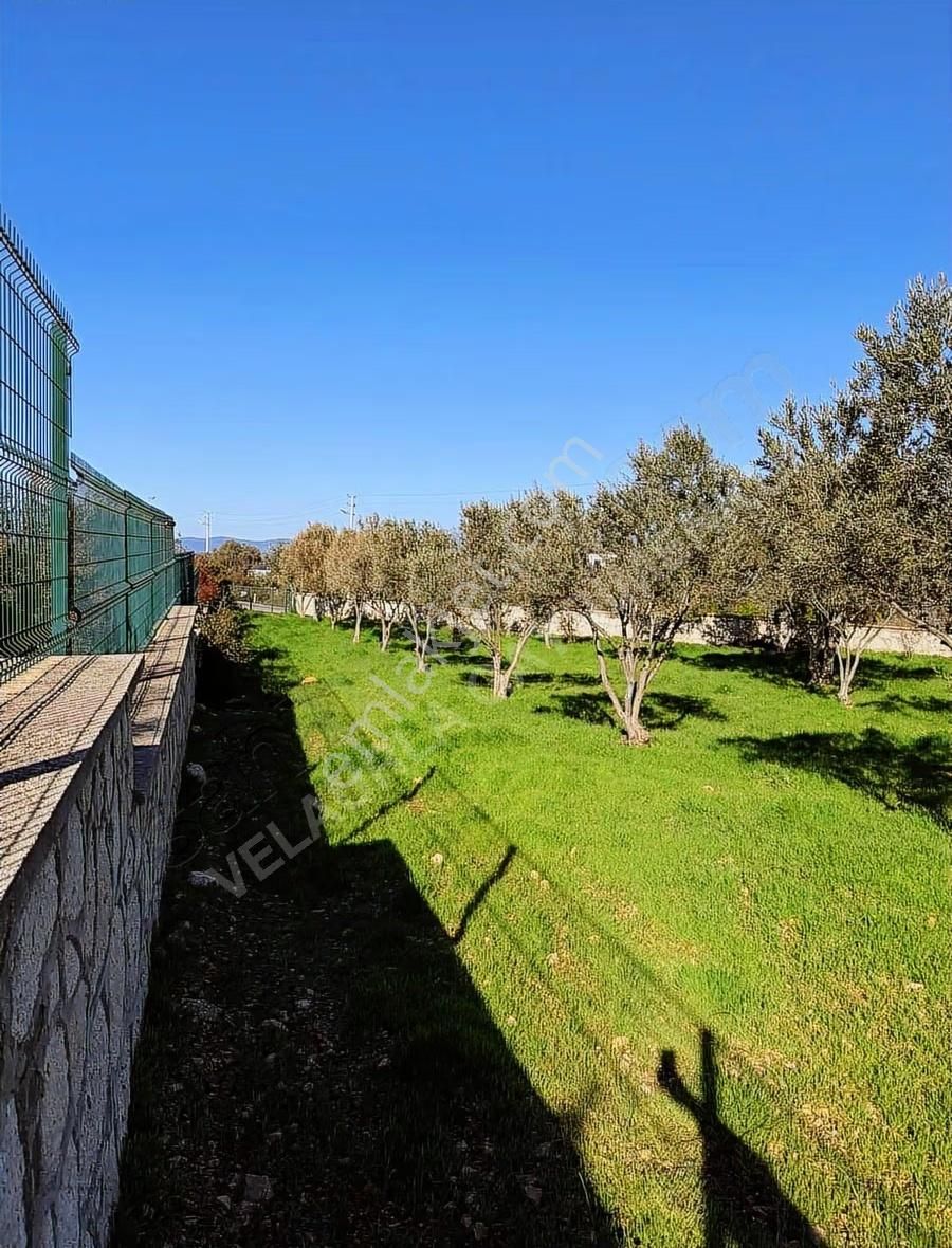 Çeşme Germiyan'da Ana Yola Cepheli 3365m² Tarla Ve 160m² Ev - Görsel 11