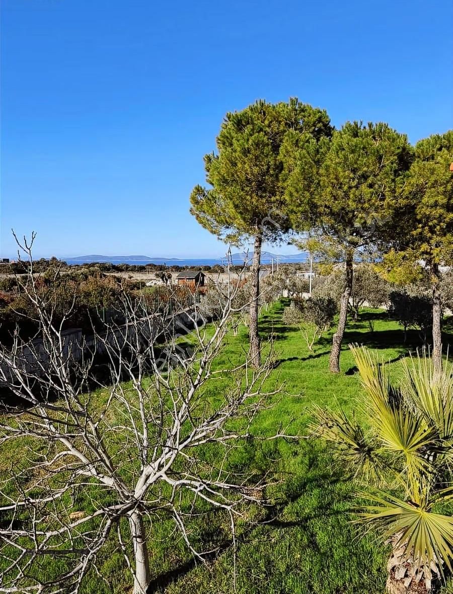 Çeşme Germiyan'da Ana Yola Cepheli 3365m² Tarla Ve 160m² Ev - Görsel 16