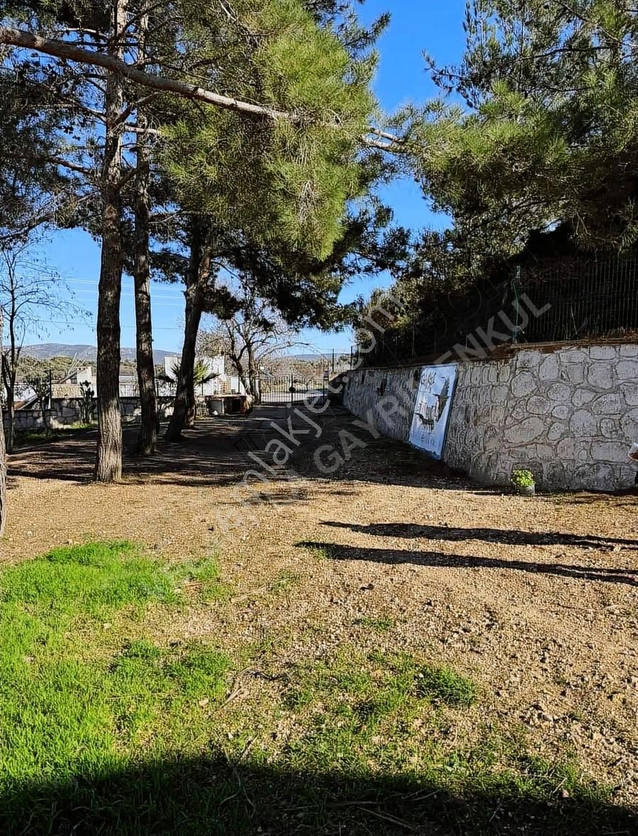 Çeşme Germiyan'da Ana Yola Cepheli 3365m² Tarla Ve 160m² Ev - Görsel 17