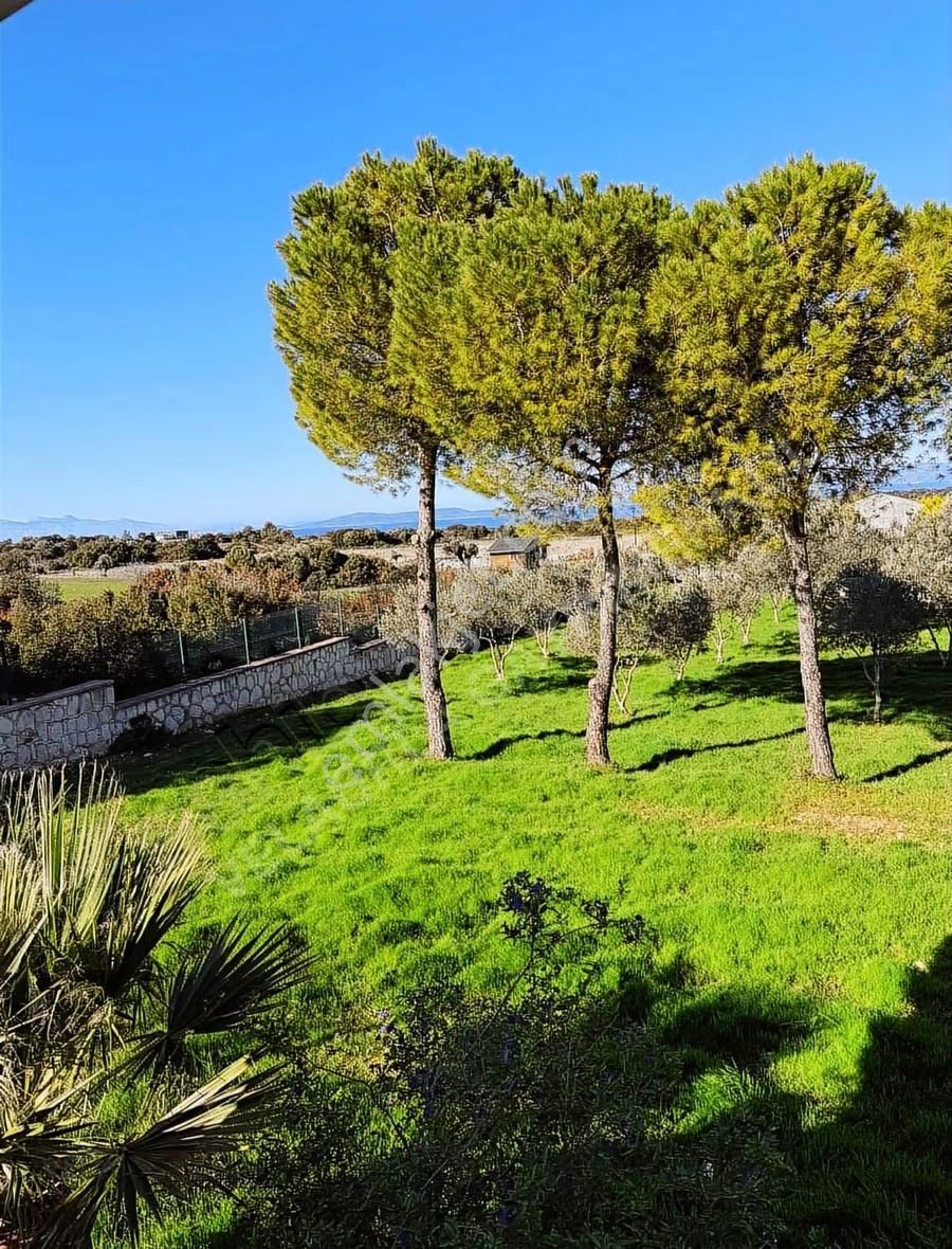 Çeşme Germiyan'da Ana Yola Cepheli 3365m² Tarla Ve 160m² Ev - Görsel 2