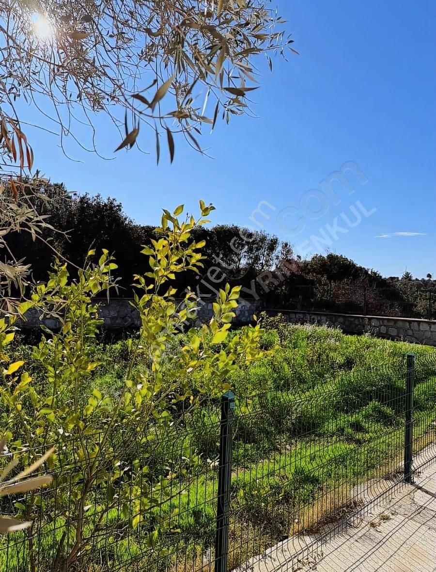 Çeşme Germiyan'da Ana Yola Cepheli 3365m² Tarla Ve 160m² Ev - Görsel 7