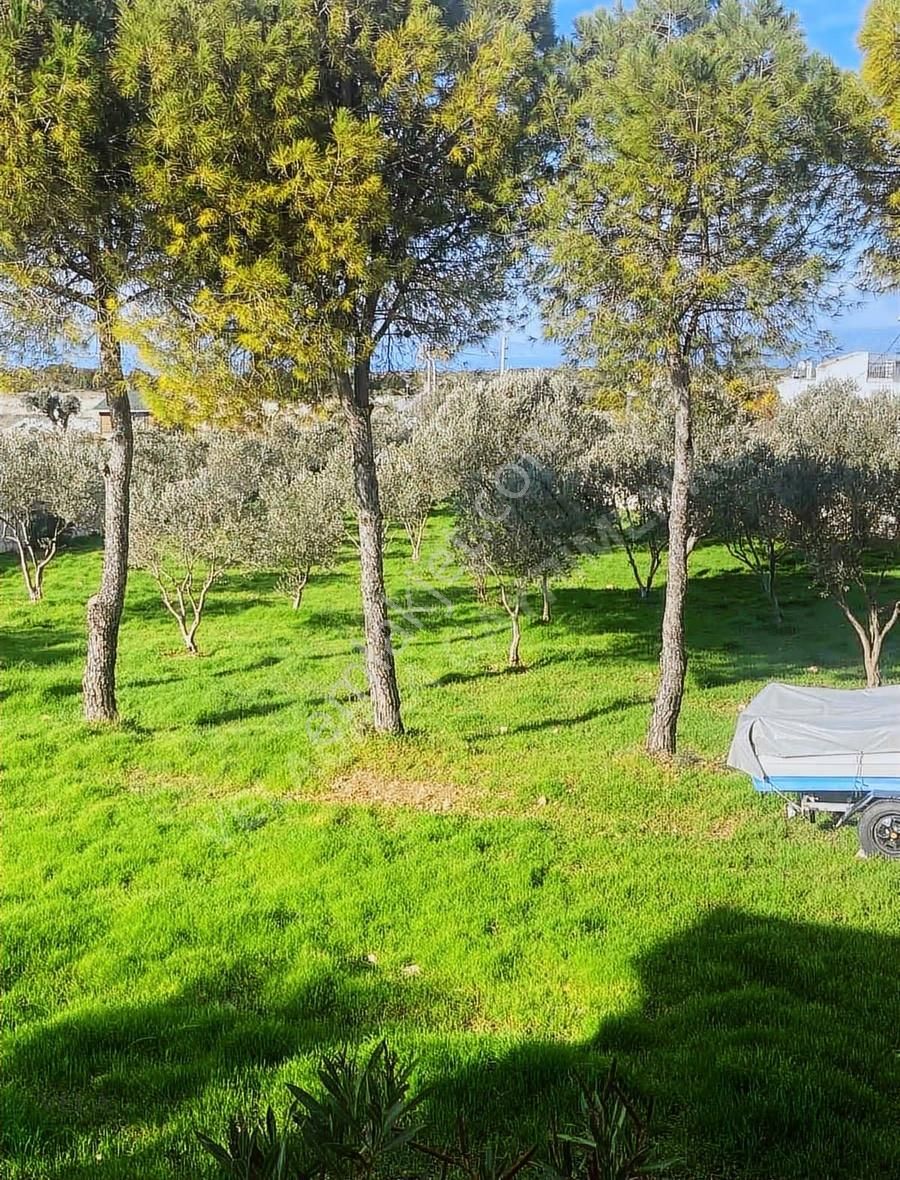 Çeşme Germiyan'da Ana Yola Cepheli 3365m² Tarla Ve 160m² Ev - Görsel 6