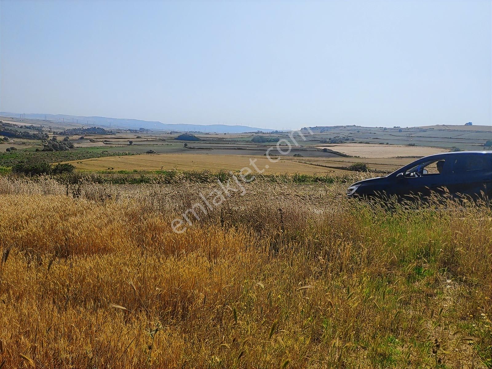 Uygun Fiyatlı Çatalca Nakkaş'ta Köy'e Yakın Kadastro Yola Cephe