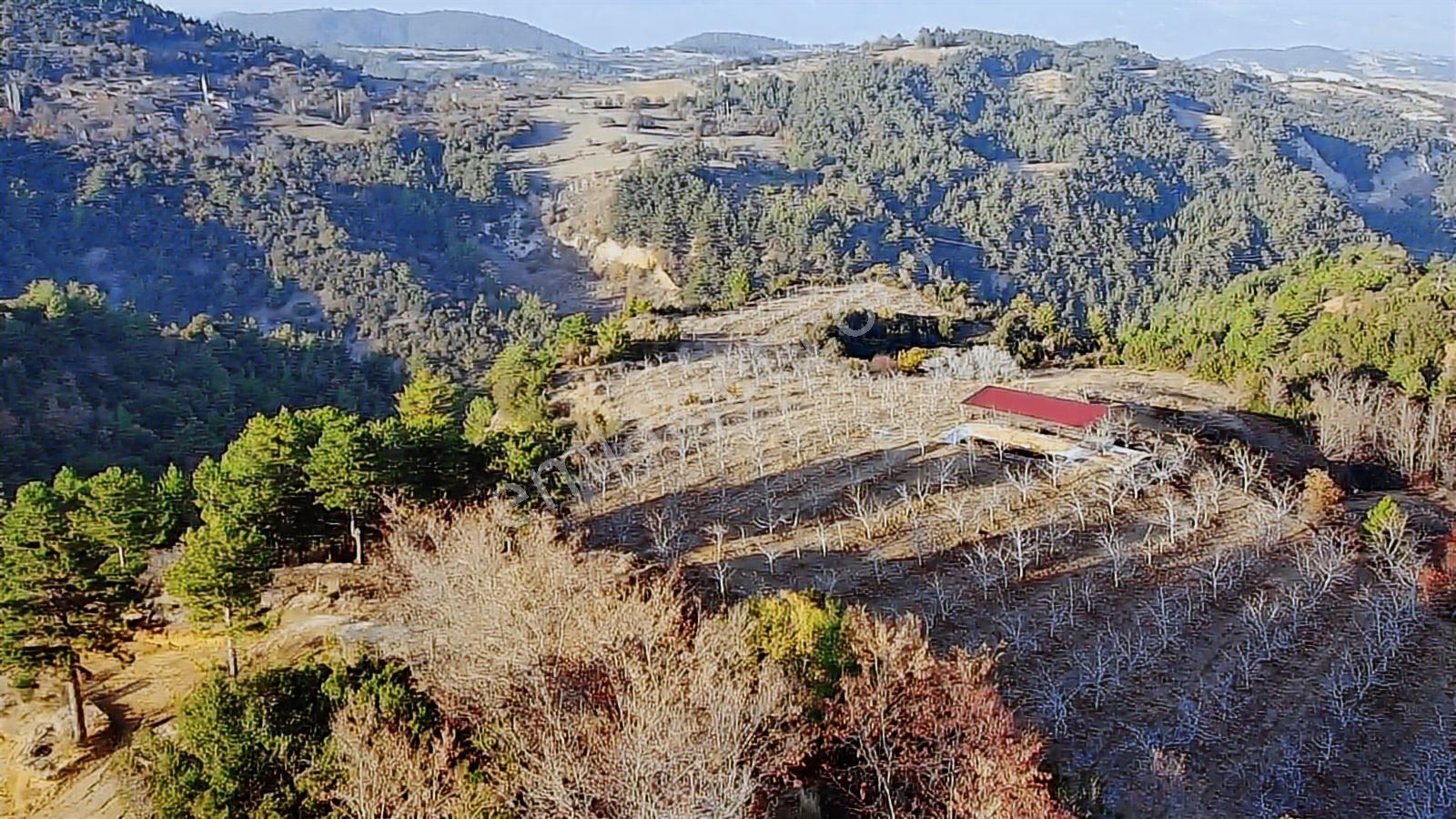 Babadağ Ahıllı Yaylasında Satılık Konut İmarlı Parseller - Görsel 11