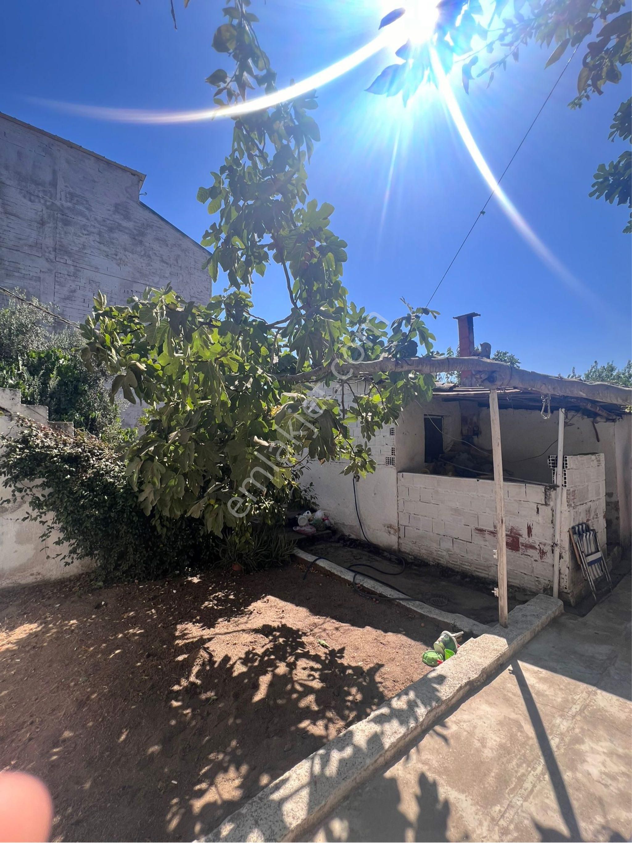 Ocaklı Satılık İmarlı Arsa - Görsel 7