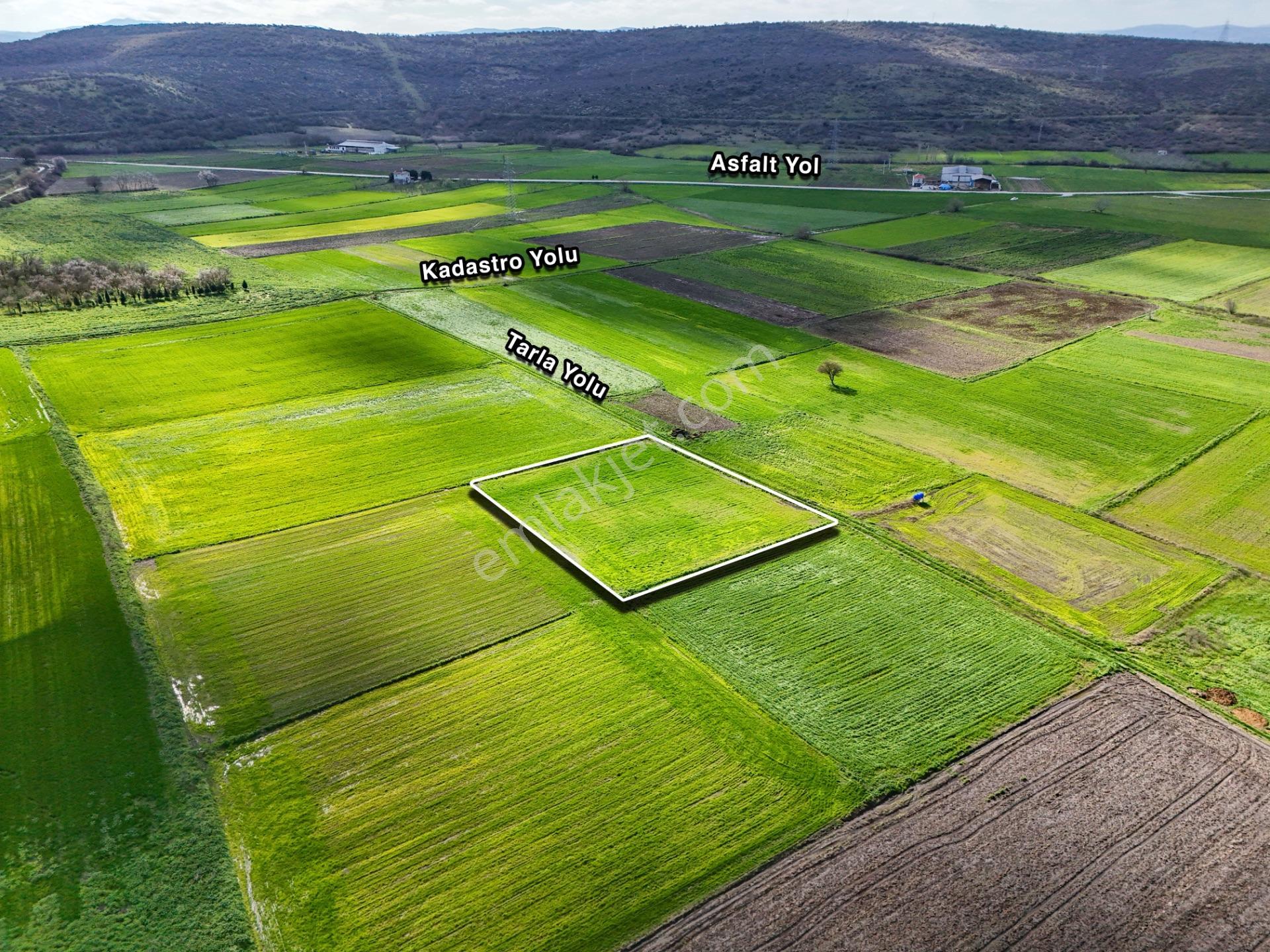 Era Söz Den Balıkesir Büyükbostancı'da 3105 M² Satılık Tarla - Görsel 5