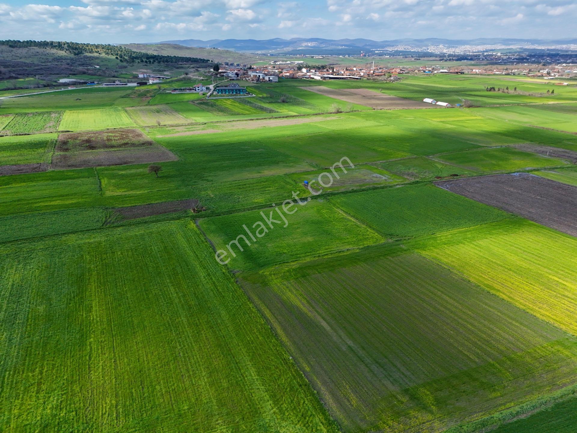 Era Söz Den Balıkesir Büyükbostancı'da 3105 M² Satılık Tarla