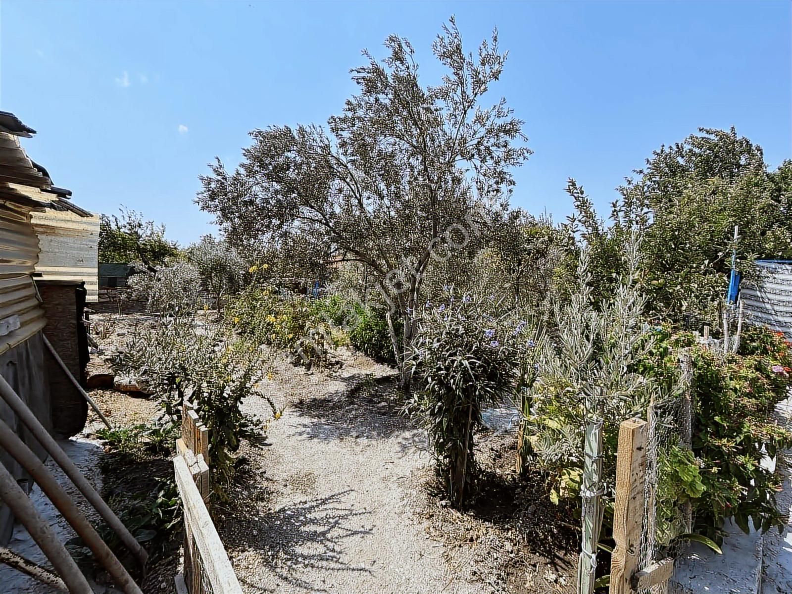 Foça Gerenköy Satılık Müstakil Ev - Görsel 8