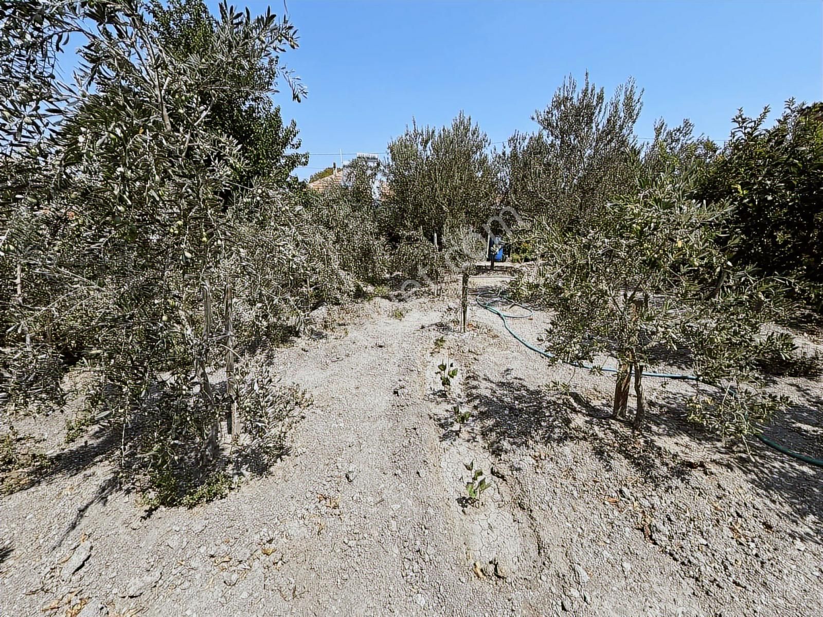 Foça Gerenköy Satılık Müstakil Ev - Görsel 23