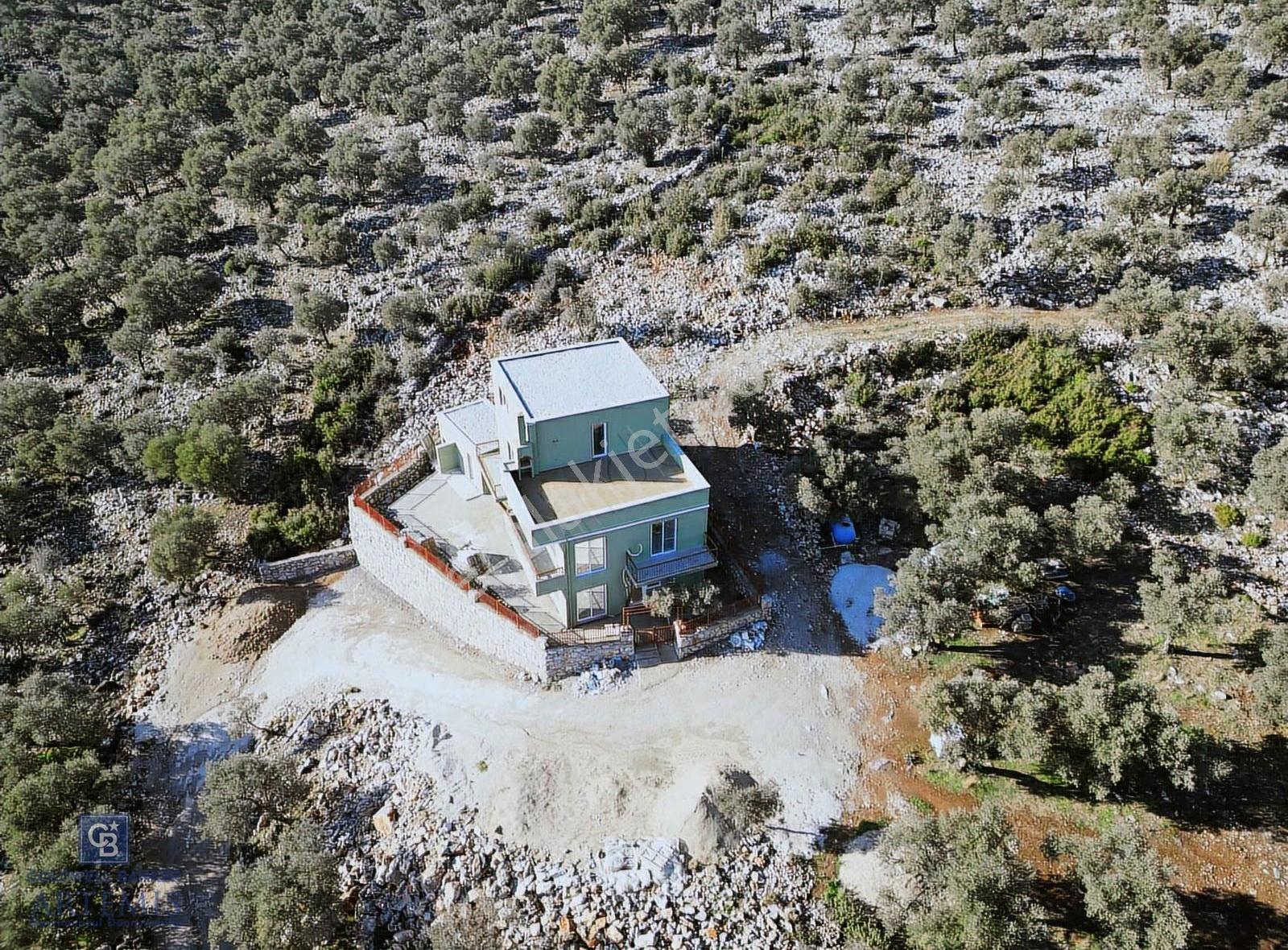 Milas Kalınağıl Satılık Bakımlı Zeytinlik Ve Ev - Görsel 16