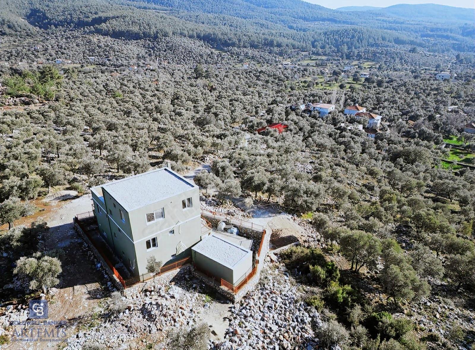 Milas Kalınağıl Satılık Bakımlı Zeytinlik Ve Ev - Görsel 24