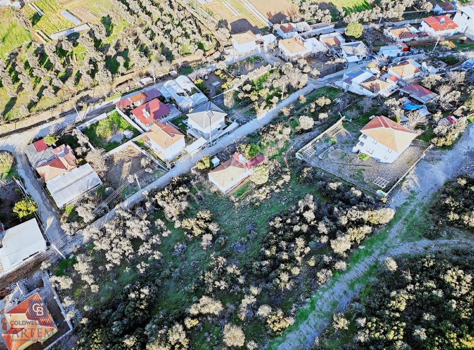 Milas Kafaca Köyü Satılık İmarlı Arsa - Görsel 25