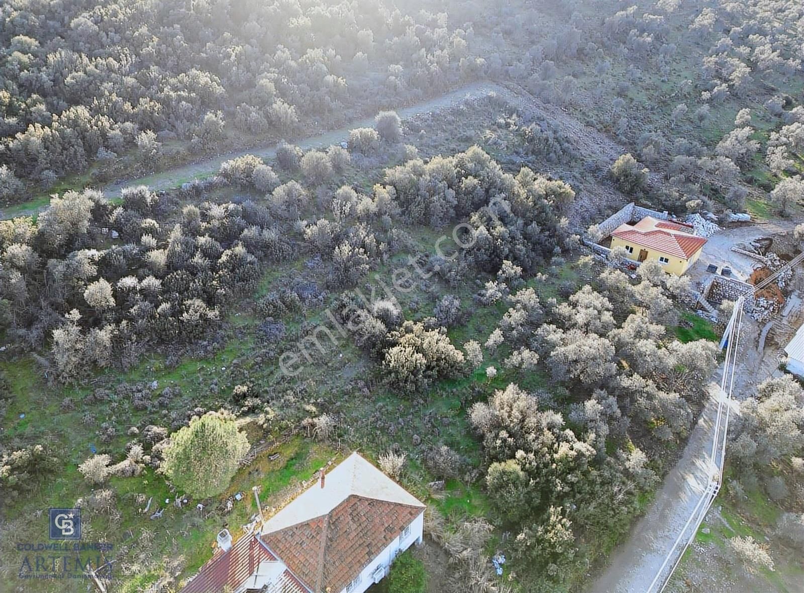 Milas Kafaca Köyü Satılık İmarlı Arsa - Görsel 21