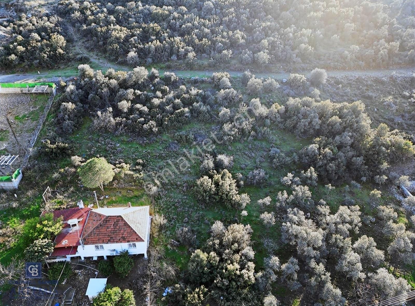 Milas Kafaca Köyü Satılık İmarlı Arsa - Görsel 30