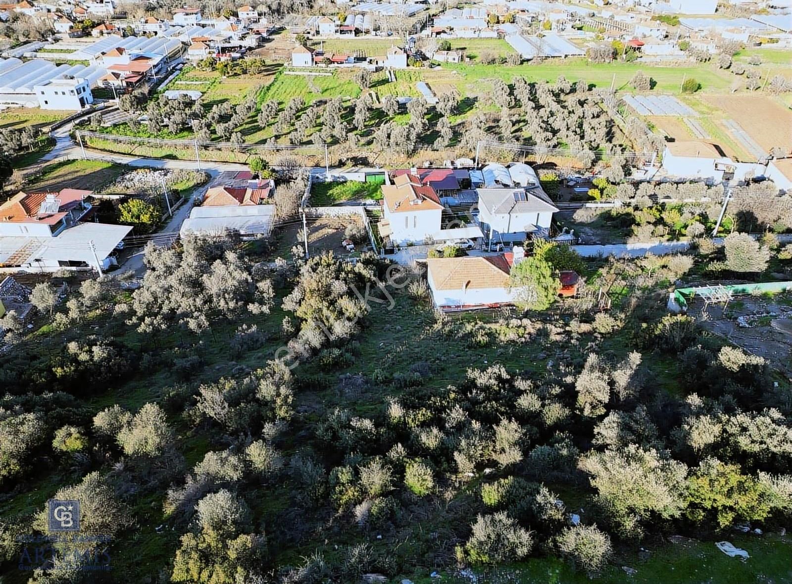 Milas Kafaca Köyü Satılık İmarlı Arsa - Görsel 27