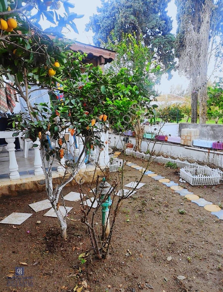 Yalıkavak Merkez Sahile 150m 5+1 Bahçeli Müstakil Villa - Görsel 11