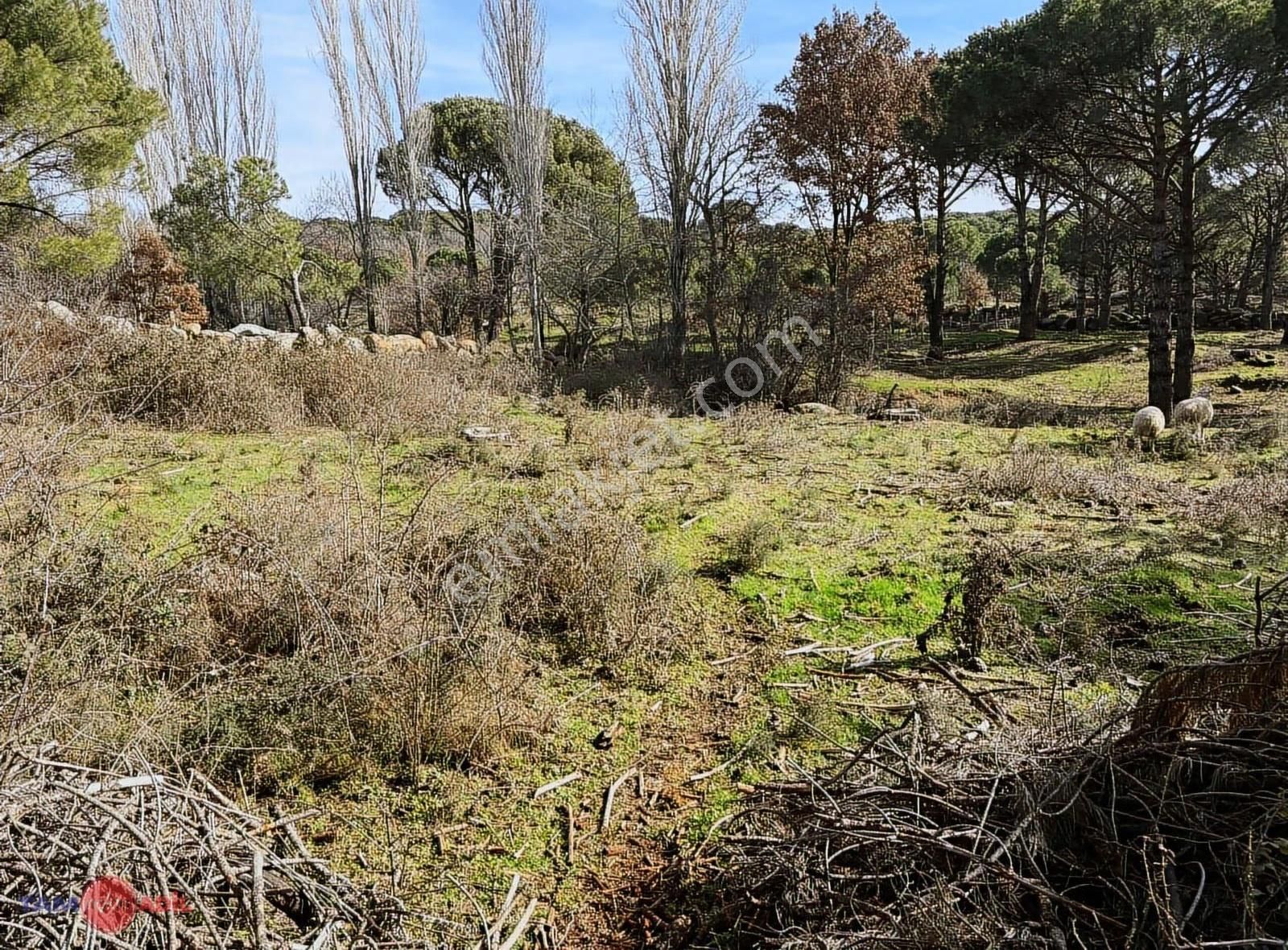 Kozak Kıranlı Mahallesinde Satılık Arsa - Görsel 8
