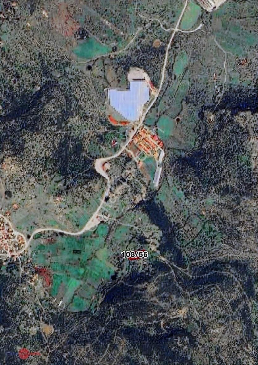 İzmir Dikili Katıralanında 3.123 M² Satılık Tarla - Görsel 2